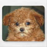 Gizmo Mouse Pads