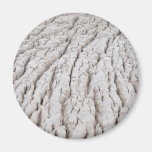 Glacial crevasses in Denali National Park, Alaska Refrigerator Magnet