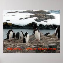 Glacial Warming Gentoo Penguins Print