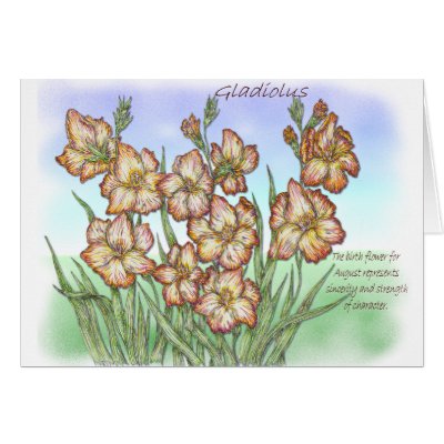 Gladiolus Greeting Cards by artbyjehf