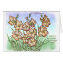 Gladiolus cards