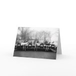 Glamour Girls & Classic Cars Vintage Photo Card