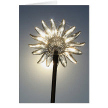 Glass Flower In The Sun Card