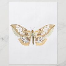 GlassWing Butterfly Flyer