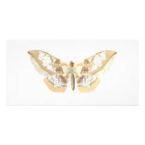 GlassWing Butterfly Custom Photo Card