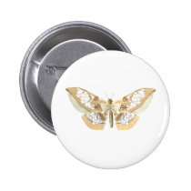 GlassWing Butterfly buttons