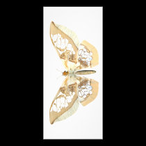 GlassWing Butterfly rack cards