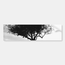 Glastonbury Hawthorn. Tree. Black and White. Bumper Sticker