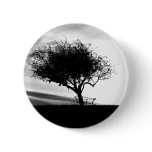 Glastonbury Hawthorn. Tree. Black and White. Pin