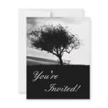 Glastonbury Hawthorn. Tree. Black and White. invitations