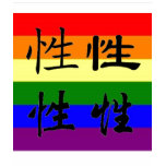 GLBT Pride in Chinese Symbols:  Sex t-shirts