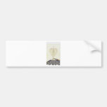 GleamingGlory-92.jpg Adhésifs Pour Voiture