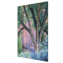 Glen Canyon National Recreation Area, Utah. USA. Canvas Prints