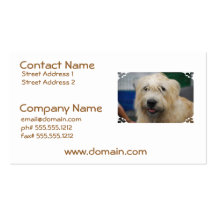 Glen of Imaal Terrier Business Cards