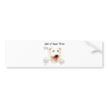 Glen of Imaal Terrier History Design