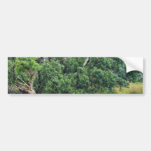 Glengesh Pass In Ireland Landscape Bumper Stickers