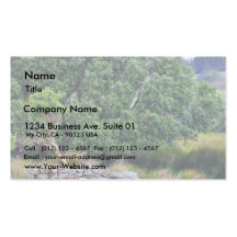 Glengesh Pass In Ireland Landscape Business Card