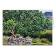 Glengesh Pass In Ireland Landscape Greeting Card