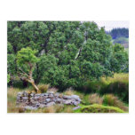 Glengesh Pass In Ireland Landscape Postcard