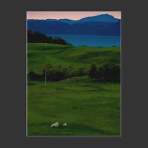 Glengorm Castle Postcard 2