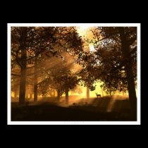 Glenwood posters