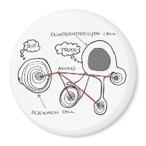 Glial Cells Magnet