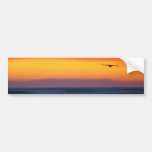 Gliding Out to Sea Bumper Sticker