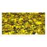 glitter_stars_yellow custom photo card
