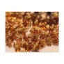 glitz post card