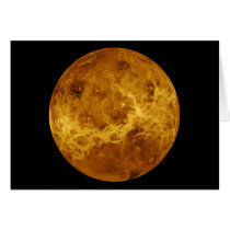 Global Surface of the Planet Venus