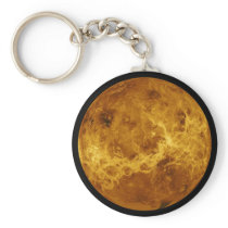 Global Surface of the Planet Venus
