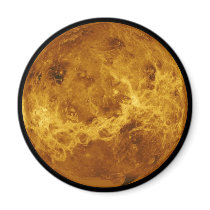 Global Surface of the Planet Venus