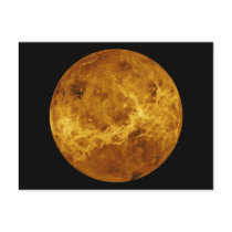 Global Surface of the Planet Venus