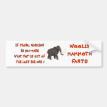GLOBAL WARMING HOAX BUMPER STICKER