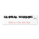 GLOBAL WARMING, this is why i'm hot bumper stickers
