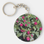 Globe Amaranth (Gomphrena Globosa) flowers Key Chain