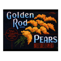 Gloden Rods Pears Post Card