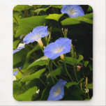 Gloires de matin bleues tapis de souris