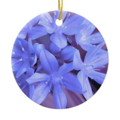 Glory Of The Snow Blue Custom Birthday by Fallen_Angel_483