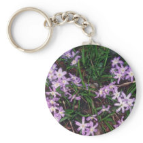 Glory Of The Snow, (Chionodoxa Luciliae) fl Keychain