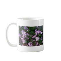 Glory Of The Snow, (Chionodoxa Luciliae) fl Mug
