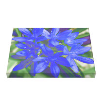 Glory of the Snow Fluorescent Blue Canvas Print