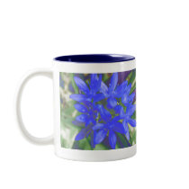 Glory Of The Snow Fluorescent Blue Mug