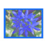 Glory Of The Snow Fluorescent Blue Postcard