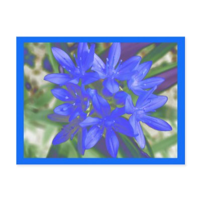 Glory Of The Snow Fluorescent Blue Postcard by Fallen_Angel_483