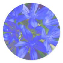 Glory Of The Snow Fluorescent Blue Sticker