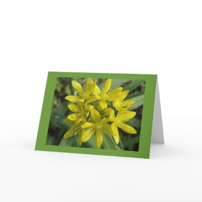 Glory Of The Snow Greeting Card by Fallen_Angel_483