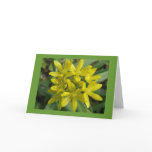 Glory Of The Snow Greeting Card