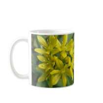 Glory Of The Snow Mug