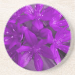 Glory Of The Snow Purple Coasters